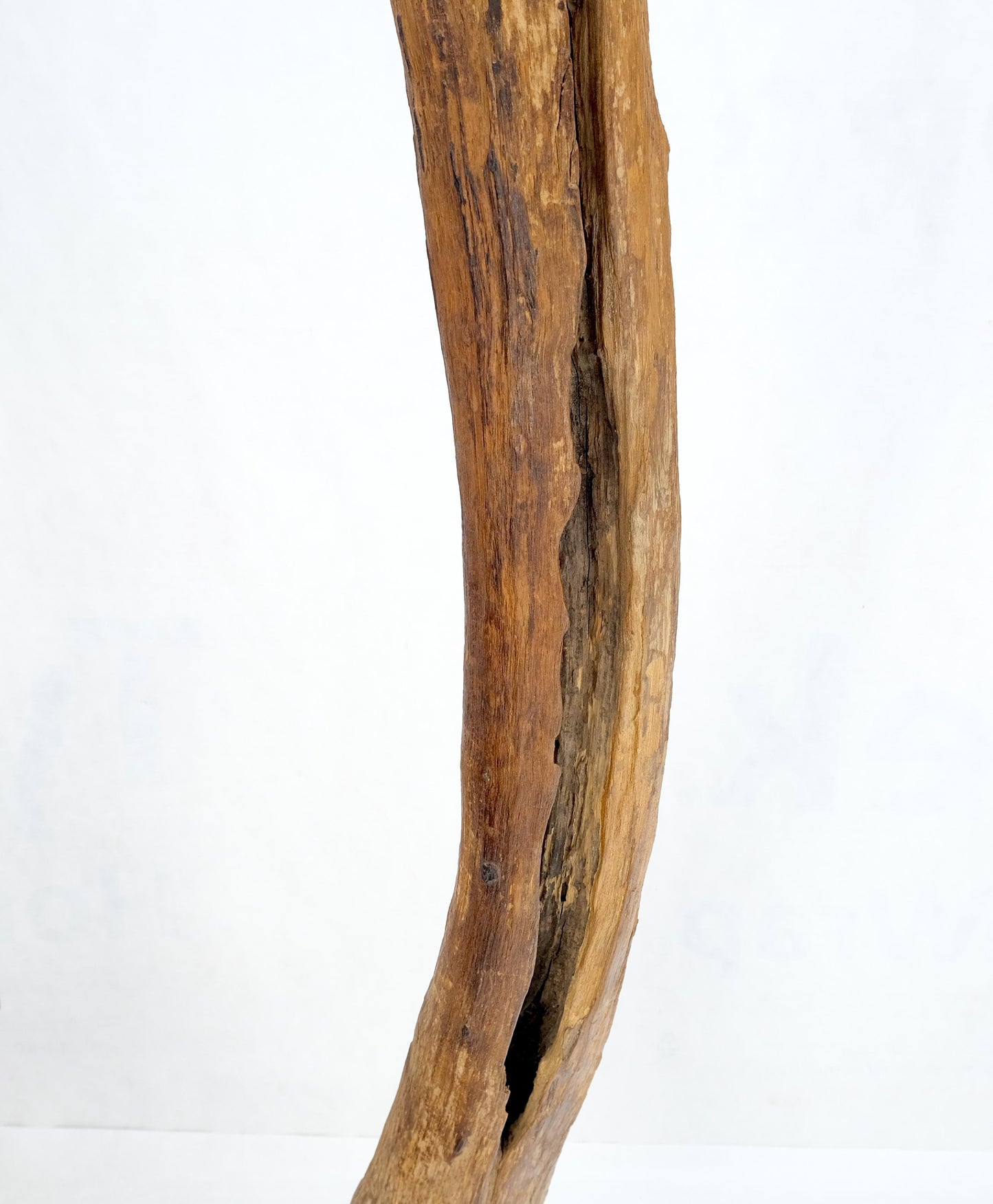 EstablishedLines Mid Century Modern 78" Tall Narrow Drift Wood Sculpture Specimen on Wooden Base