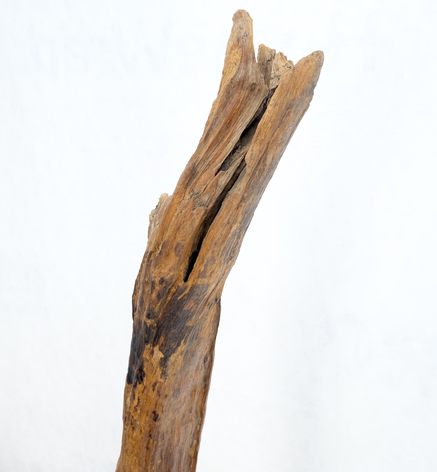 EstablishedLines Mid Century Modern 78" Tall Narrow Drift Wood Sculpture Specimen on Wooden Base