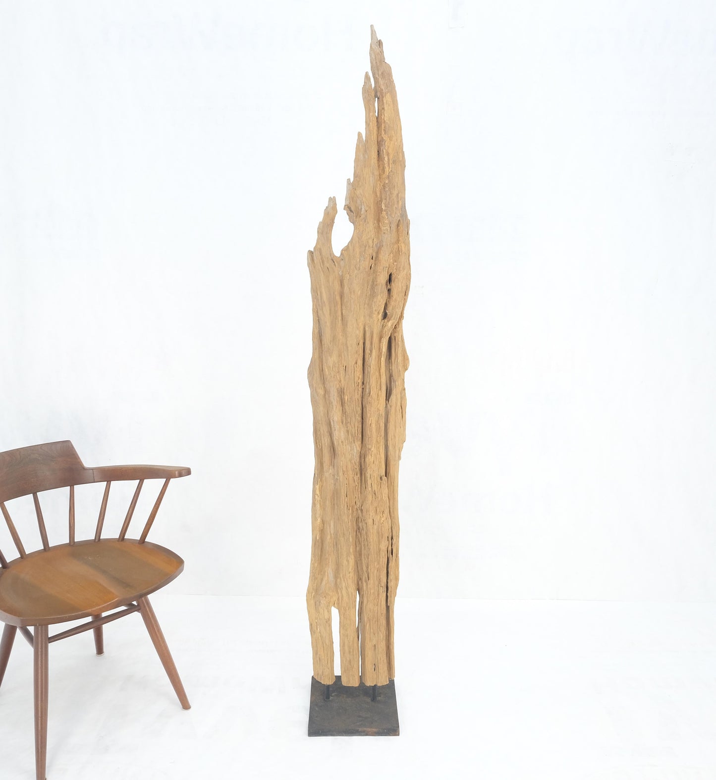 EstablishedLines Mid Century Modern Light Wood 73" Tall Narrow Driftwood Sculpture on Steel Base