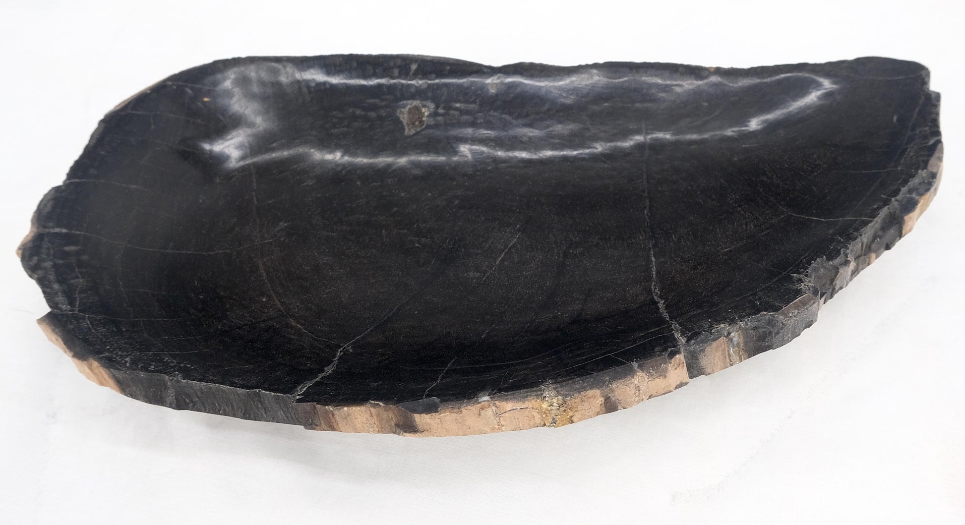 EstablishedLines Petrified Wood Round Shape Solid Black Round Bowl Dish Large Plate Ashtray MINT!