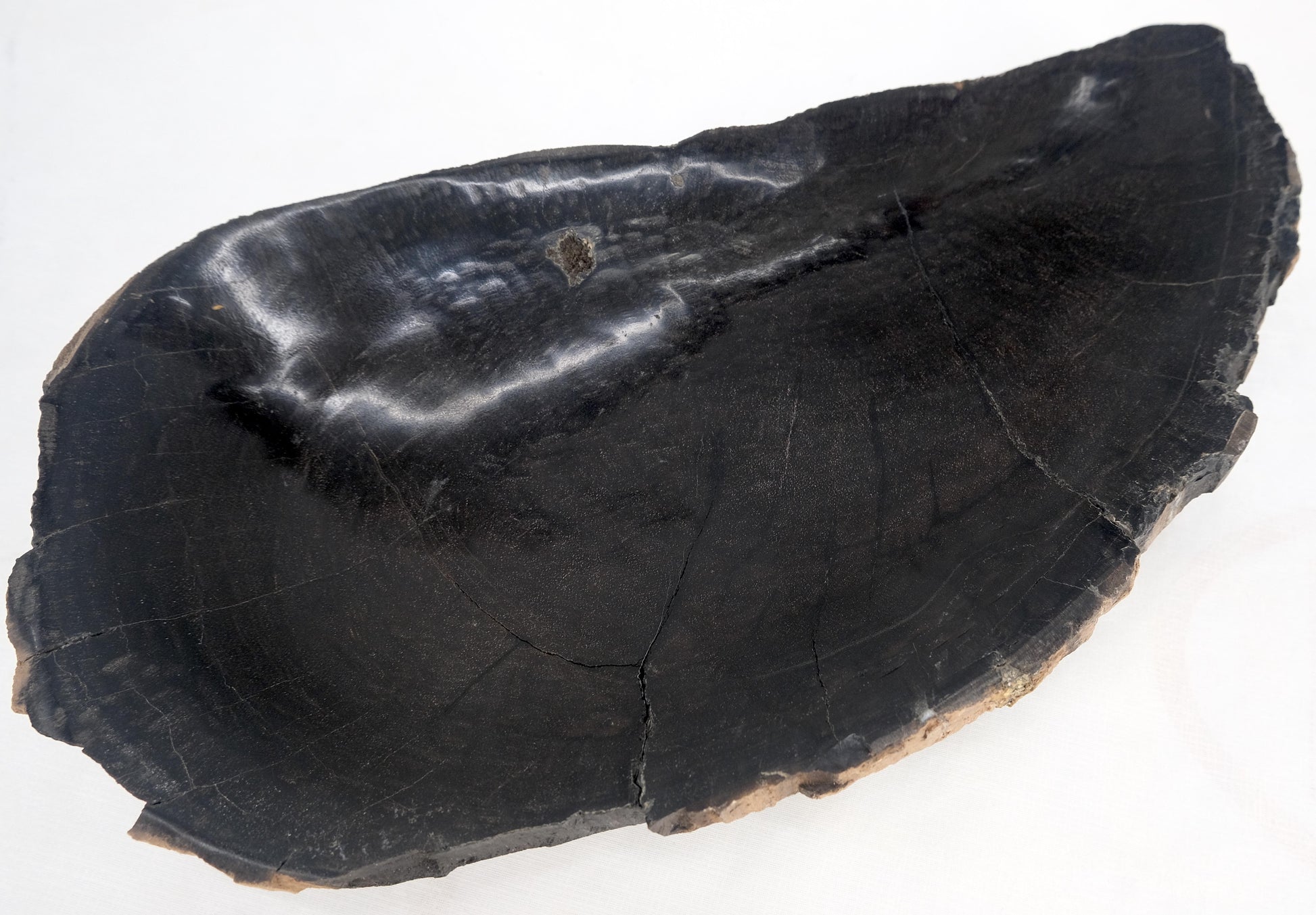 EstablishedLines Petrified Wood Round Shape Solid Black Round Bowl Dish Large Plate Ashtray MINT!