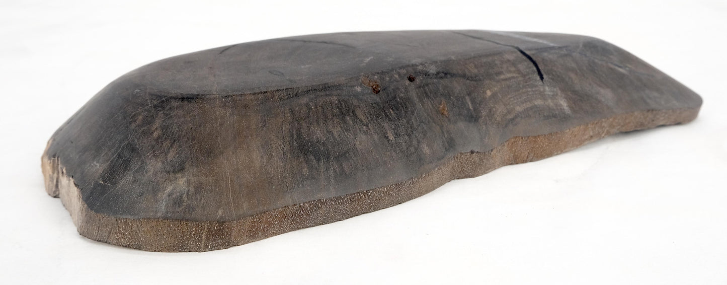 EstablishedLines Petrified Wood Round Shape Solid Black Round Bowl Dish Large Plate Ashtray MINT!
