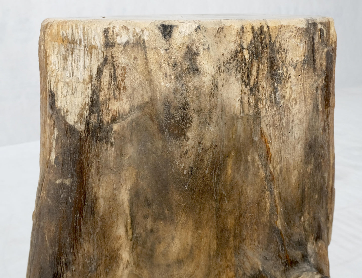 EstablishedLines Petrified Wood Organic Shape Multicolor Beige to Black Stand End Table Pedestal