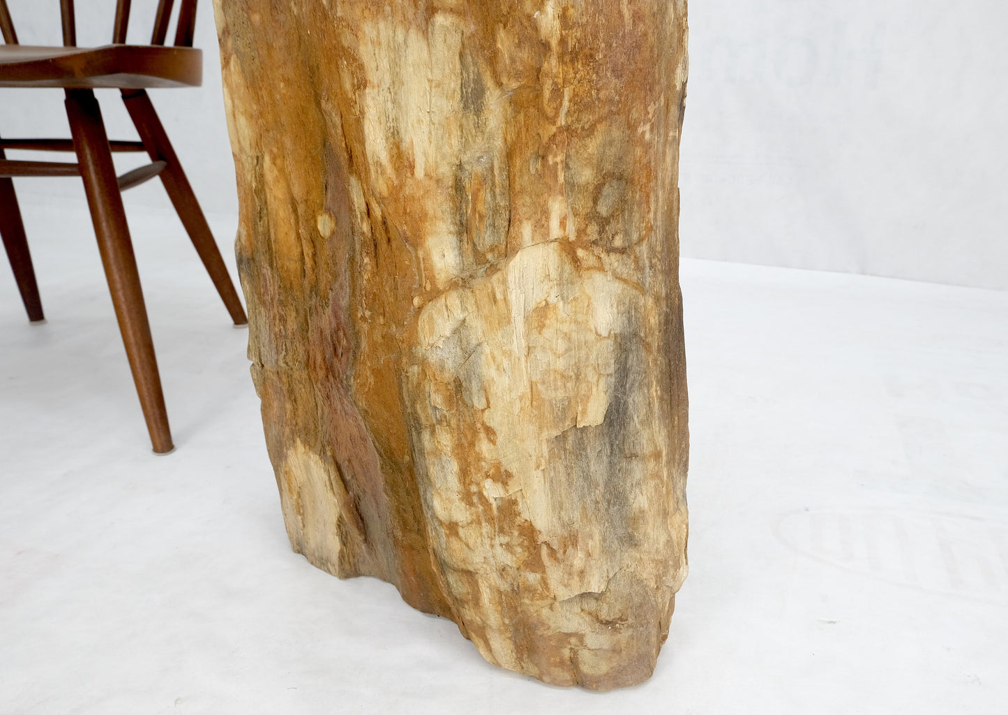 EstablishedLines Petrified Wood Organic Shape Multicolor Beige to Black Stand End Table Pedestal