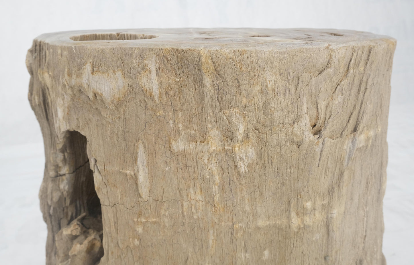 EstablishedLines Large Beige Petrified Wood Organic Stomp Shape Stand End Side Table Pedestal
