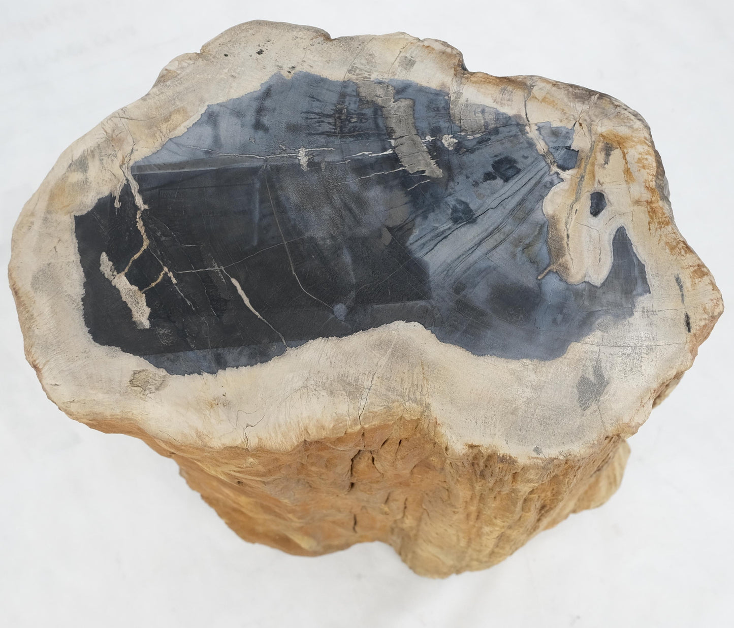 EstablishedLines Beige Black Petrified Wood Organic Stomp Shape Stand End Side Table Pedestal