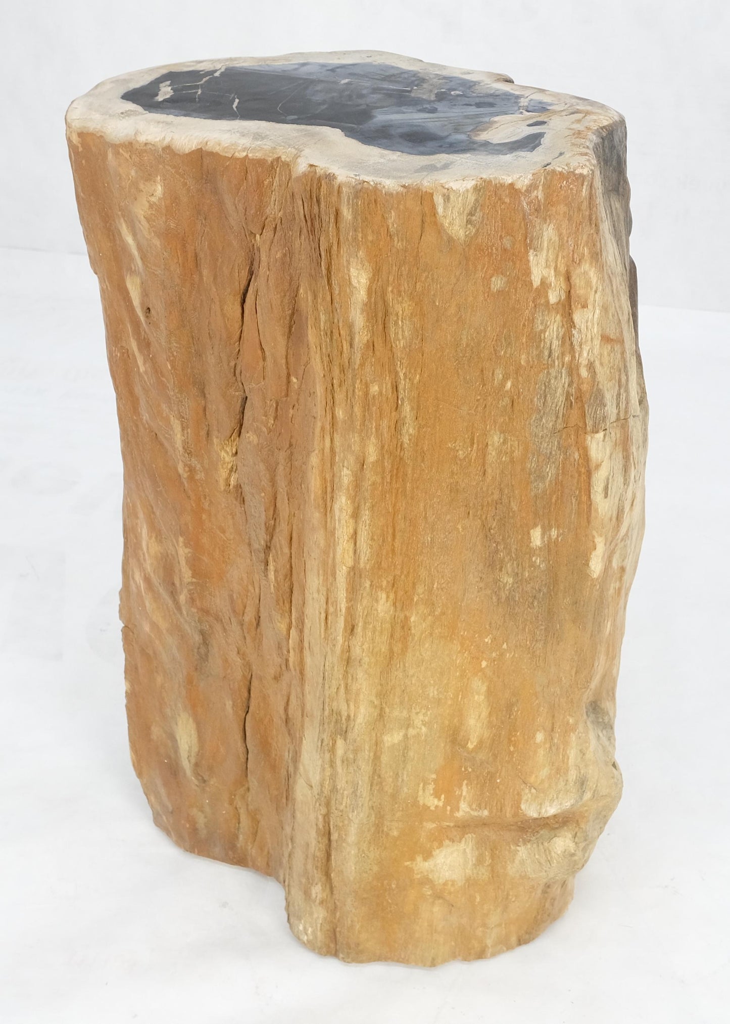 EstablishedLines Beige Black Petrified Wood Organic Stomp Shape Stand End Side Table Pedestal
