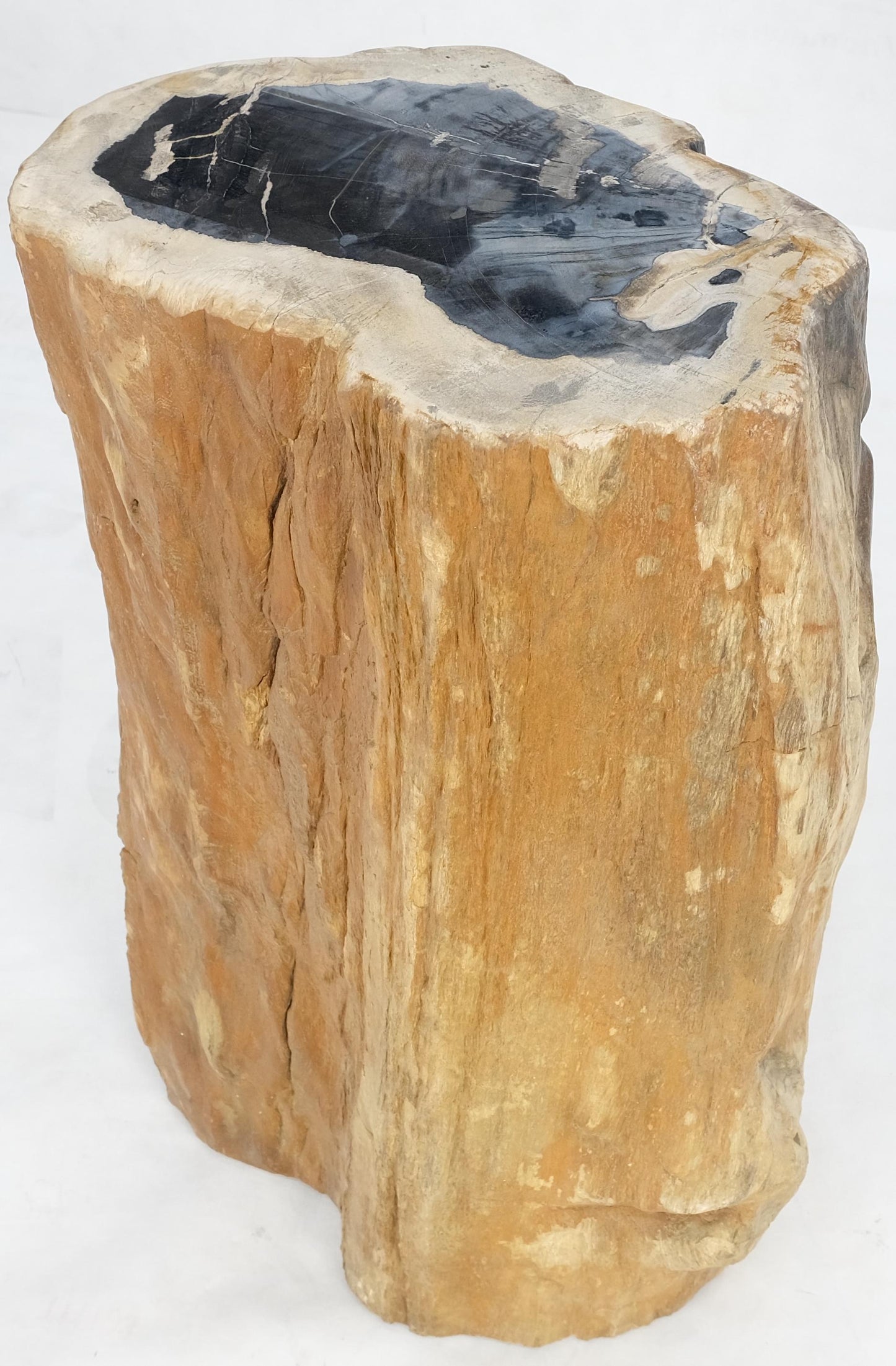EstablishedLines Beige Black Petrified Wood Organic Stomp Shape Stand End Side Table Pedestal