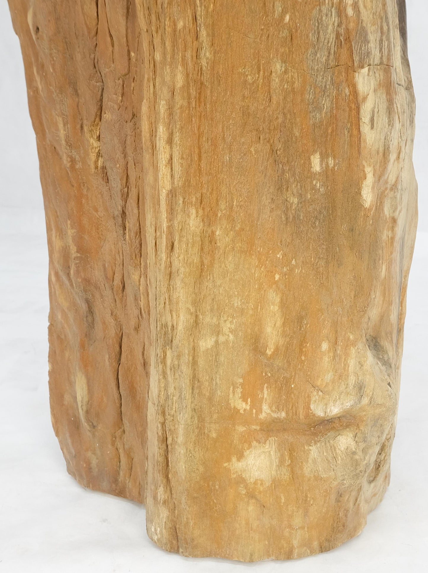 EstablishedLines Beige Black Petrified Wood Organic Stomp Shape Stand End Side Table Pedestal