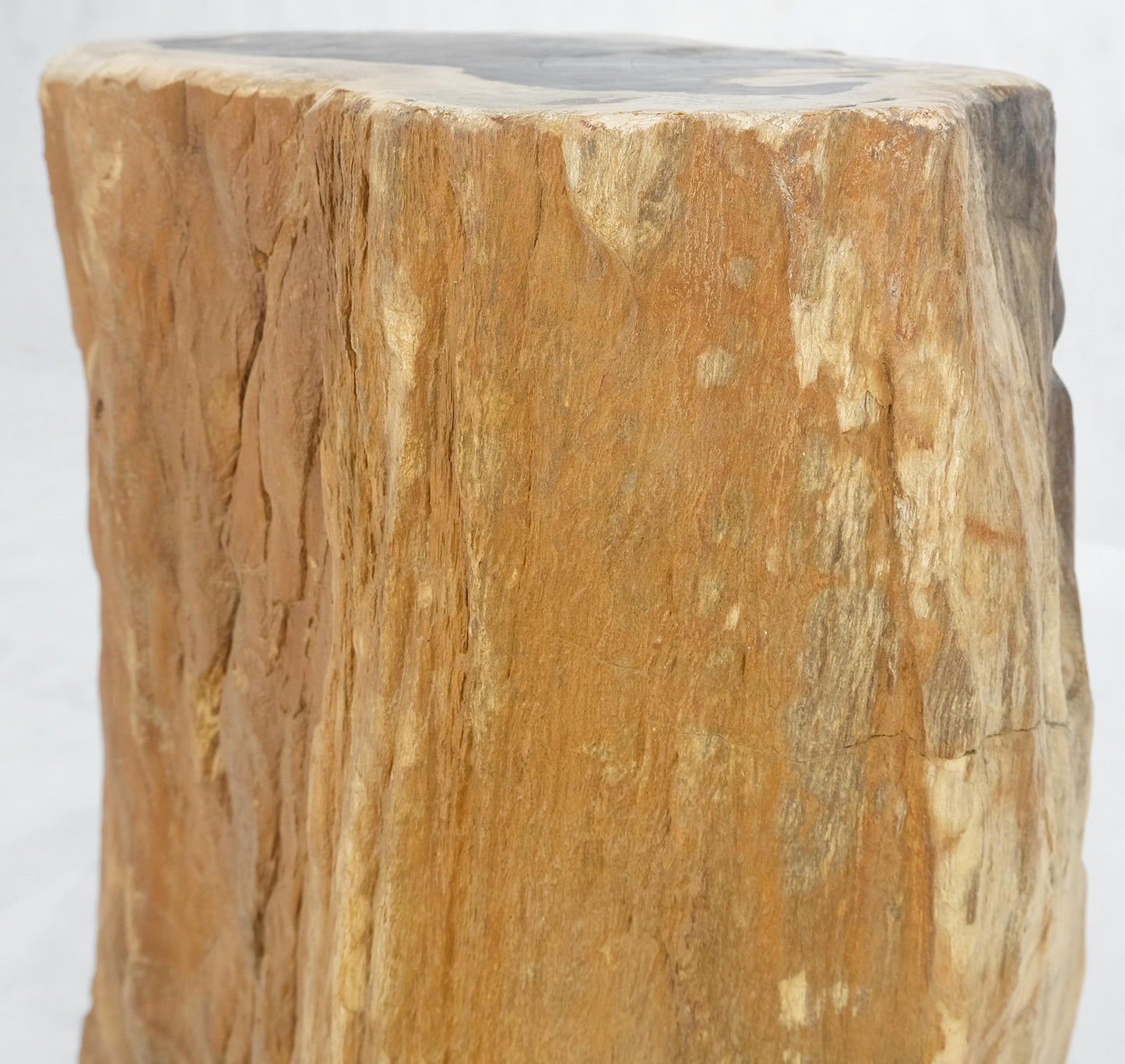 EstablishedLines Beige Black Petrified Wood Organic Stomp Shape Stand End Side Table Pedestal