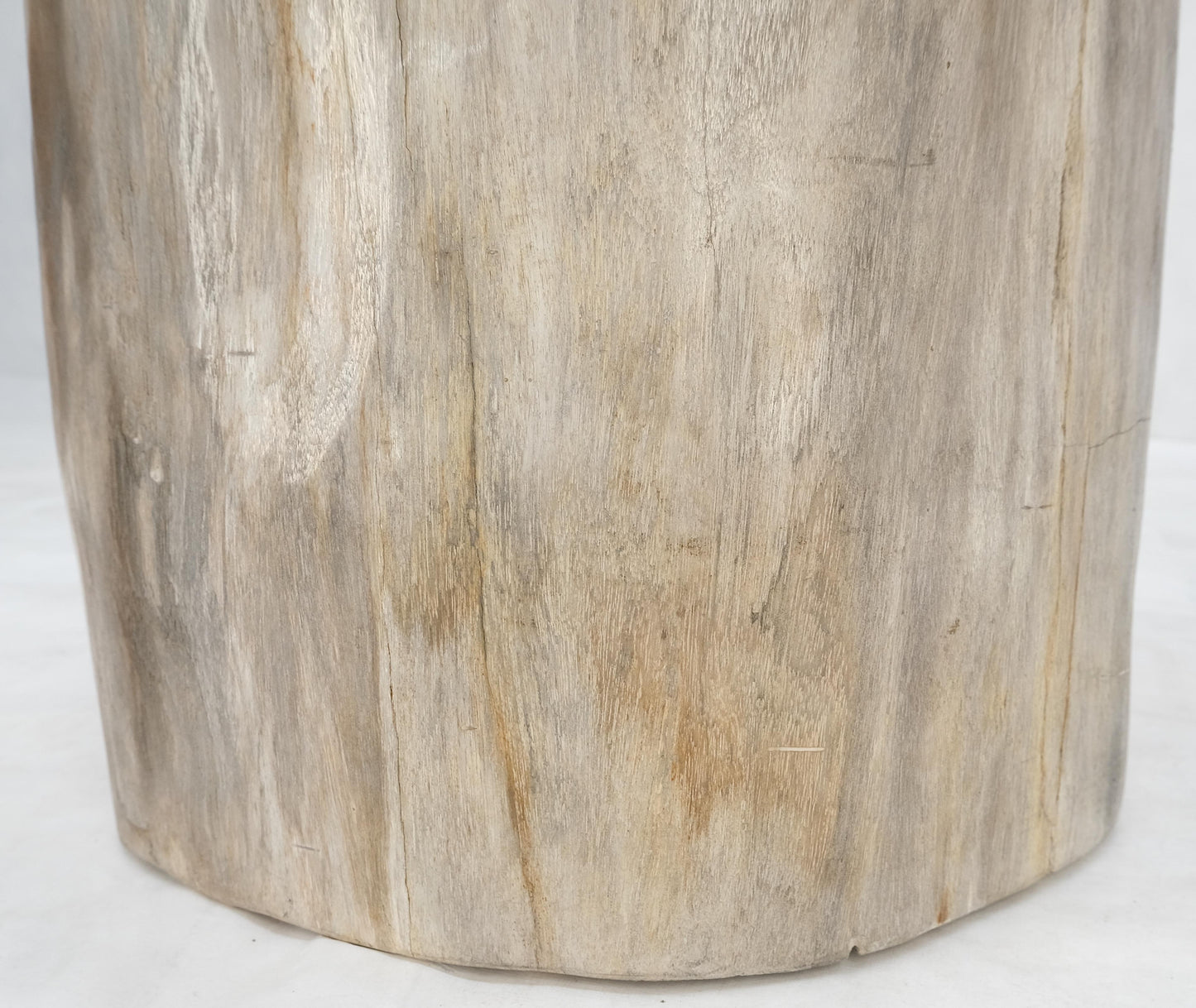 EstablishedLines Beige Large Petrified Wood Organic Stomp Shape Stand End Side Table Pedestal