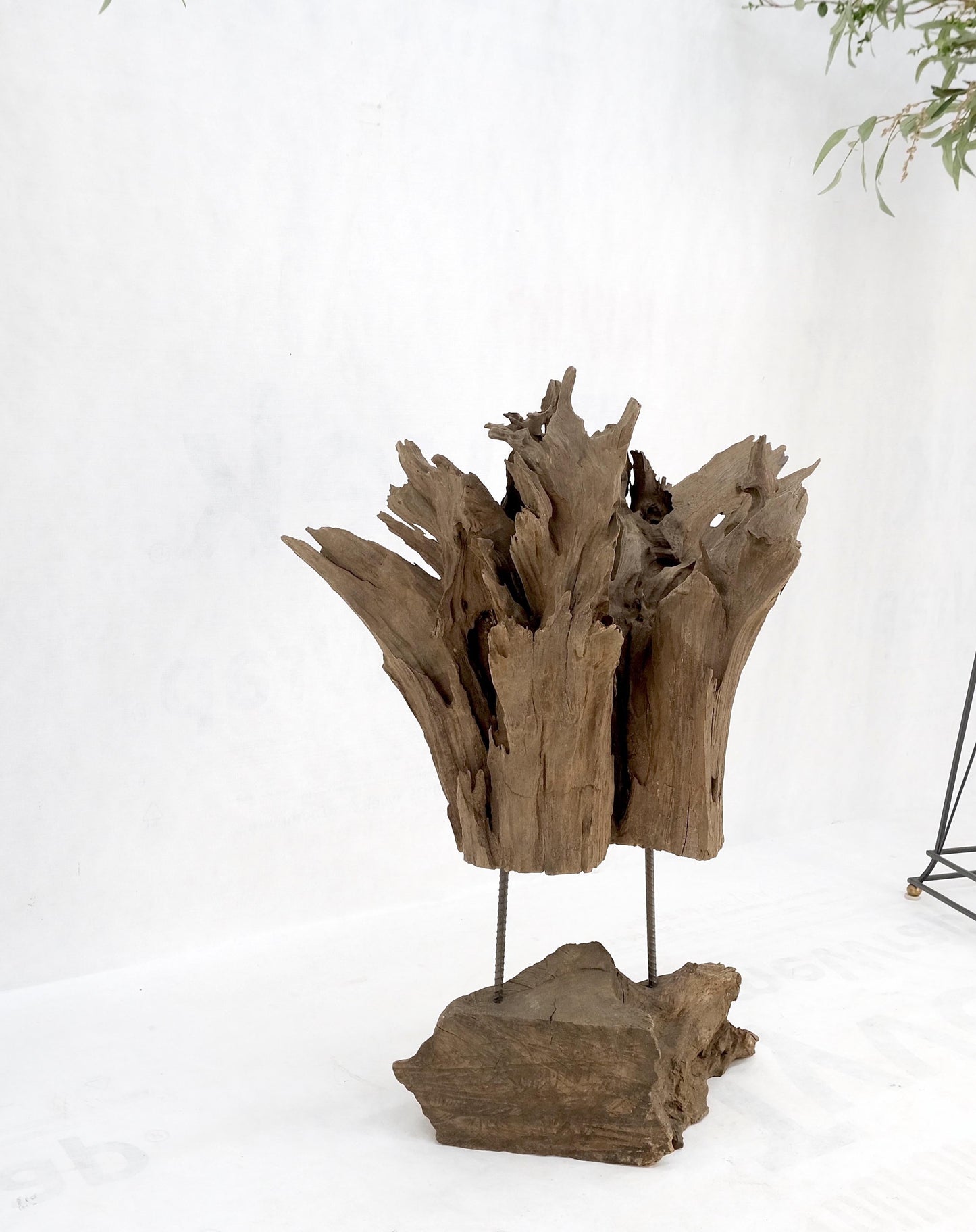 EstablishedLines Large Mid-Century Modern Abstract Driftwood Floating Suspended Sculpture