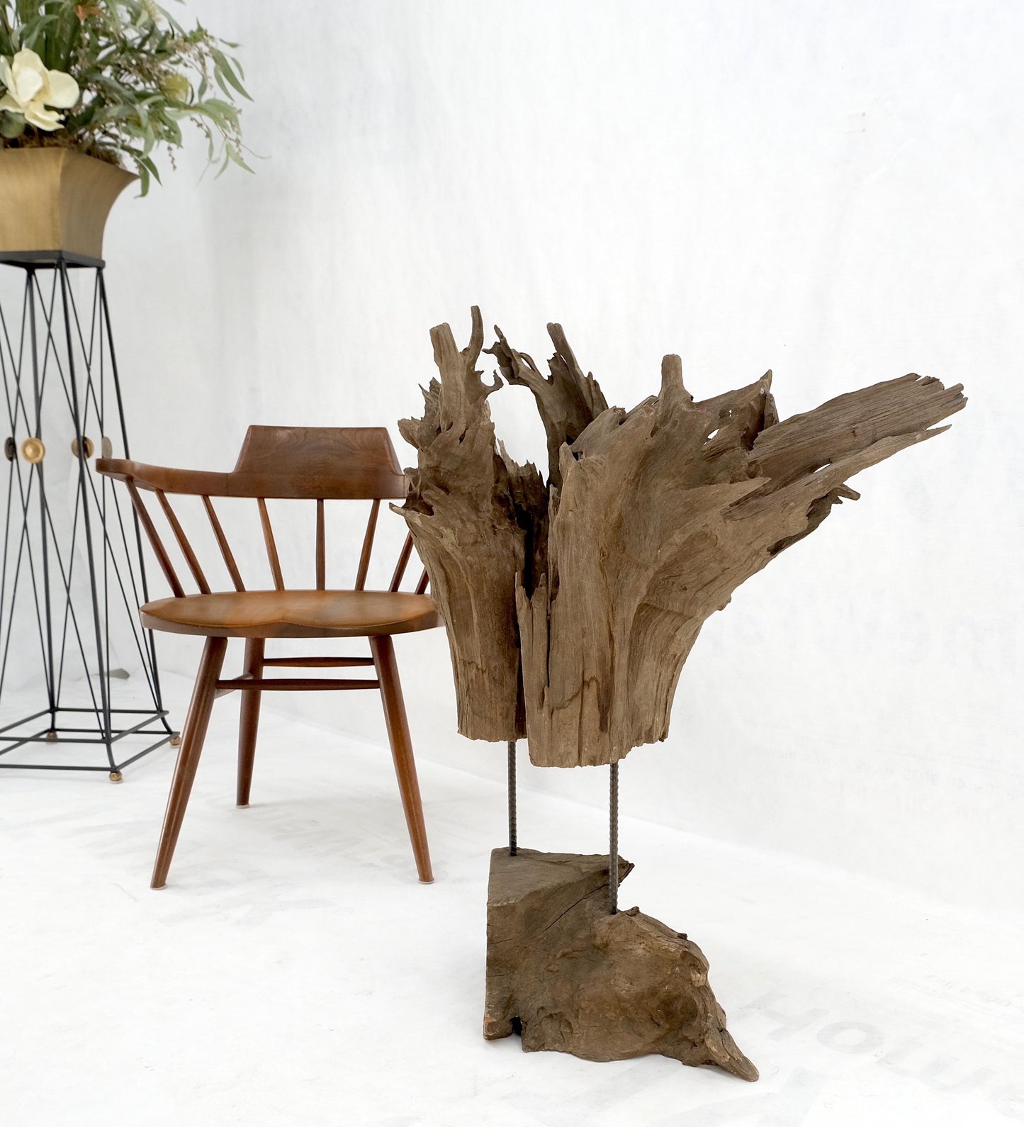 EstablishedLines Large Mid-Century Modern Abstract Driftwood Floating Suspended Sculpture