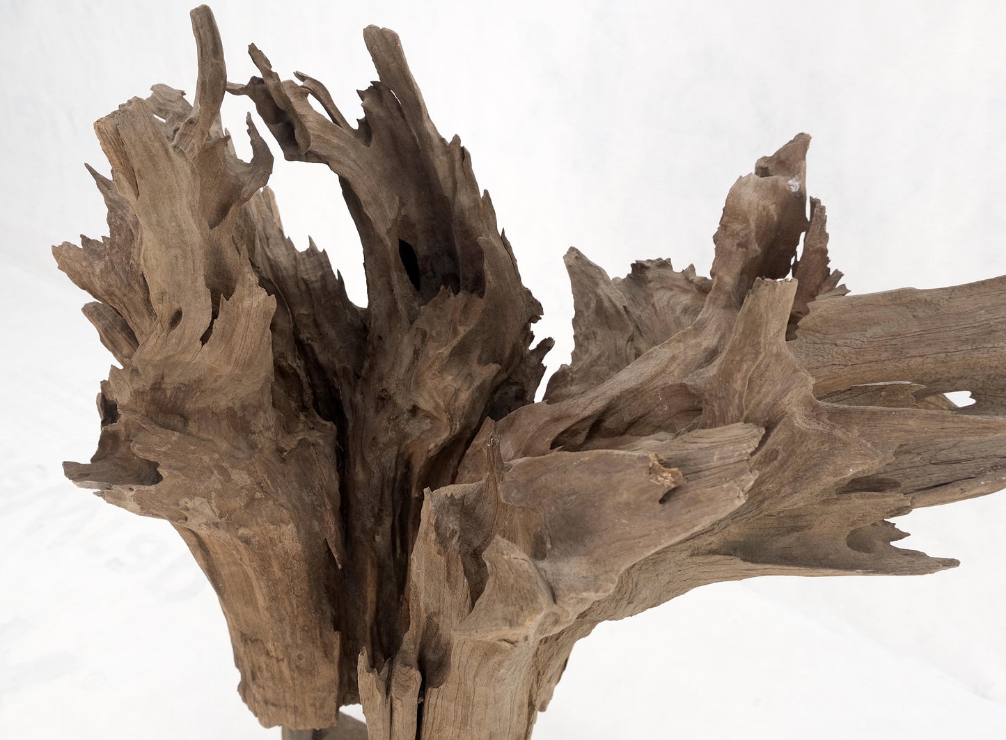 EstablishedLines Large Mid-Century Modern Abstract Driftwood Floating Suspended Sculpture
