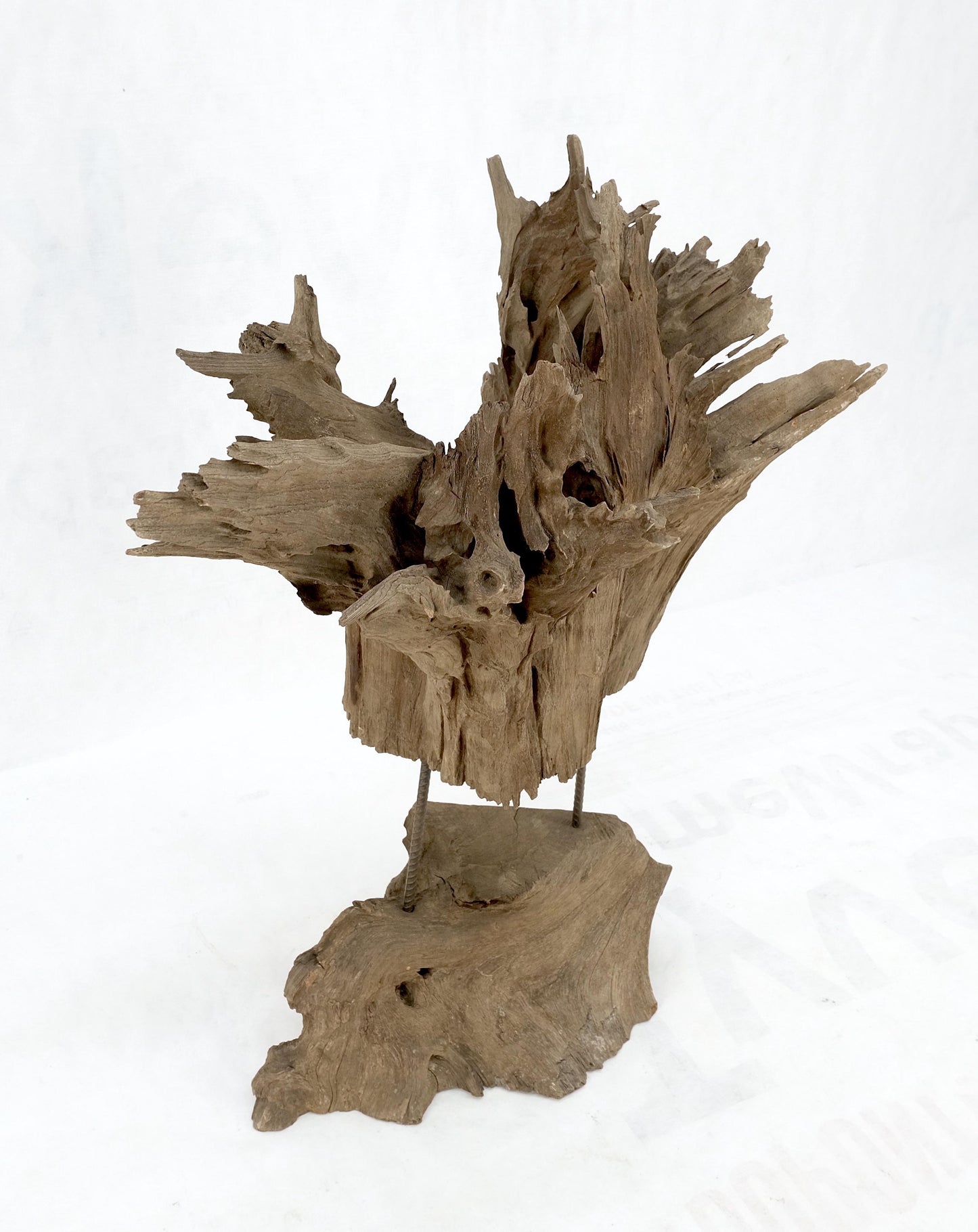 EstablishedLines Large Mid-Century Modern Abstract Driftwood Floating Suspended Sculpture
