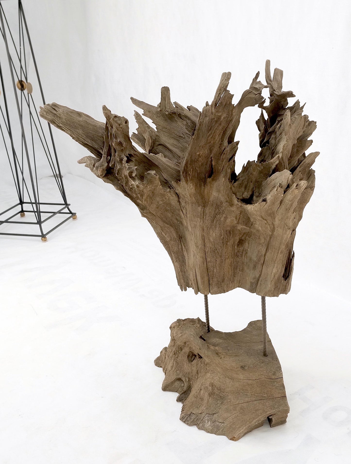 EstablishedLines Large Mid-Century Modern Abstract Driftwood Floating Suspended Sculpture