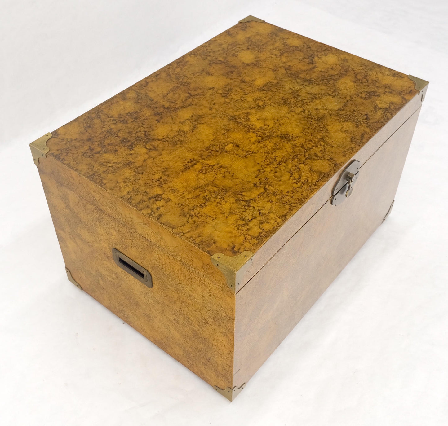 EstablishedLines Faux Tortoise Finish Hand Painted Decorated Campaign Style Trunk Box MINT