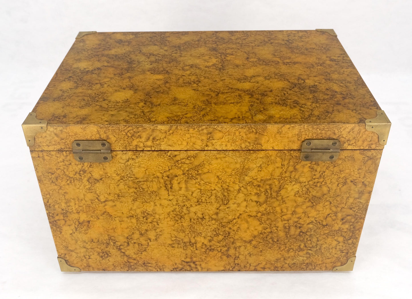 EstablishedLines Faux Tortoise Finish Hand Painted Decorated Campaign Style Trunk Box MINT