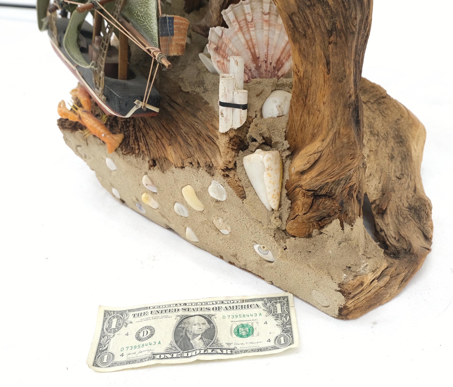 EstablishedLines Sea Naval Shells Theme Decorated Driftwood Base Table Lamp Mid-Century Modern