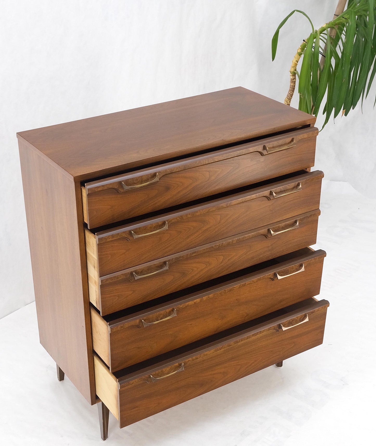 EstablishedLines Mid-Century Modern Walnut & Burl Accents Dresser High Chest Mint!