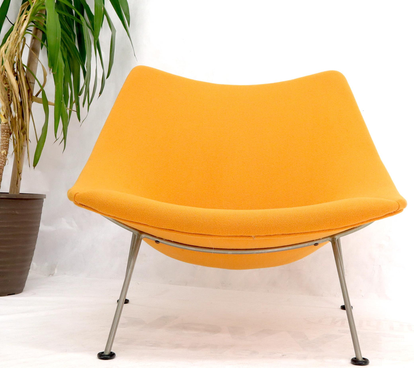 EstablishedLines Pierre Paulin Artifort Wool Upholstery Oyster Chair Orange Wool Upholstery