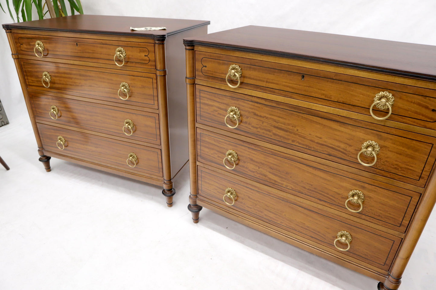 EstablishedLines Pair of Rosewood Tops Satin Wood Heavy Brass Ring Pulls 4-Drawer Bachelor Chests
