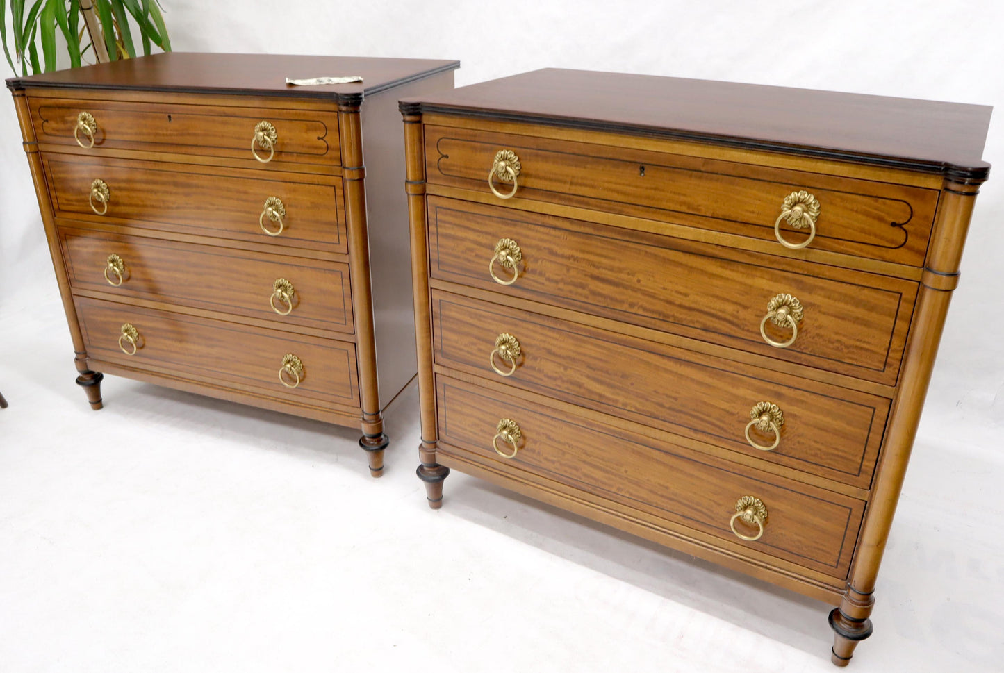 EstablishedLines Pair of Rosewood Tops Satin Wood Heavy Brass Ring Pulls 4-Drawer Bachelor Chests
