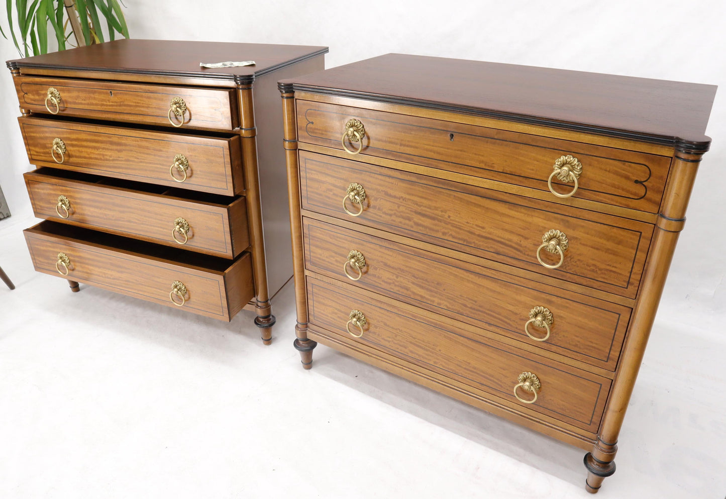 EstablishedLines Pair of Rosewood Tops Satin Wood Heavy Brass Ring Pulls 4-Drawer Bachelor Chests