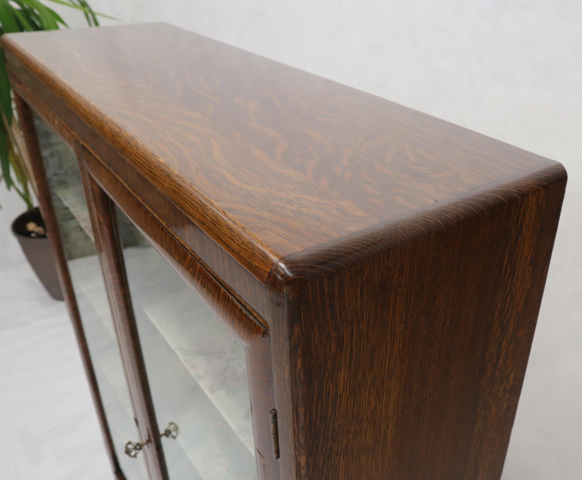 EstablishedLines Claw Feet Tiger Oak Double Door Bookcase Curio Cabinet Wallpaper Interior