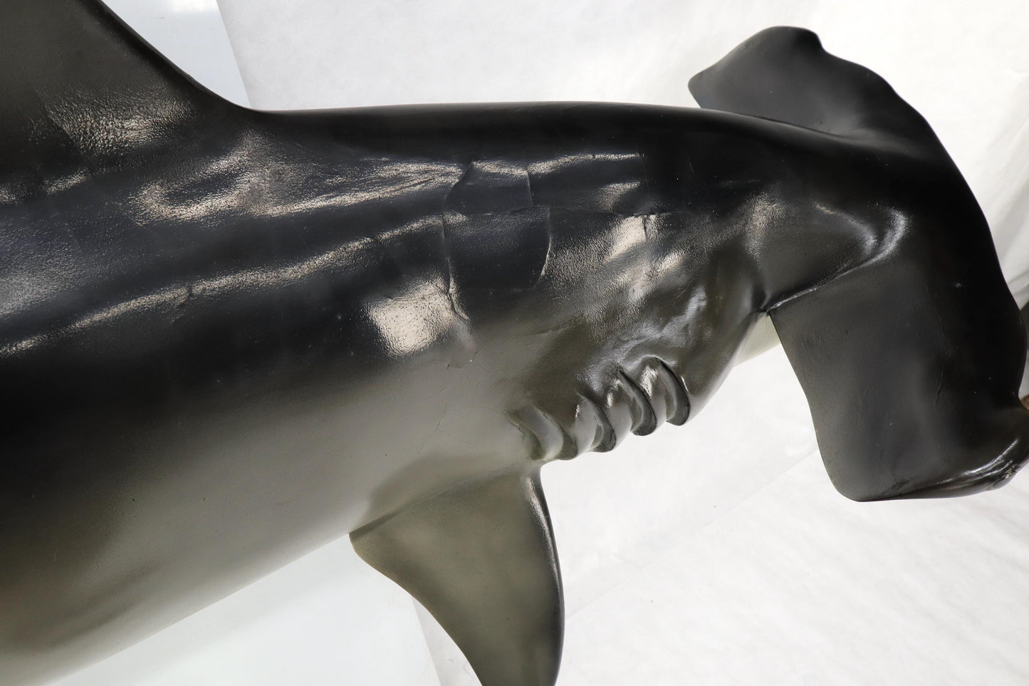 EstablishedLines Large Long Wall Hanging Sculpture of Hammerhead Shark Fish with Real Jaw Teeth
