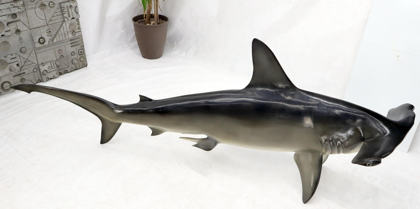 EstablishedLines Large Long Wall Hanging Sculpture of Hammerhead Shark Fish with Real Jaw Teeth