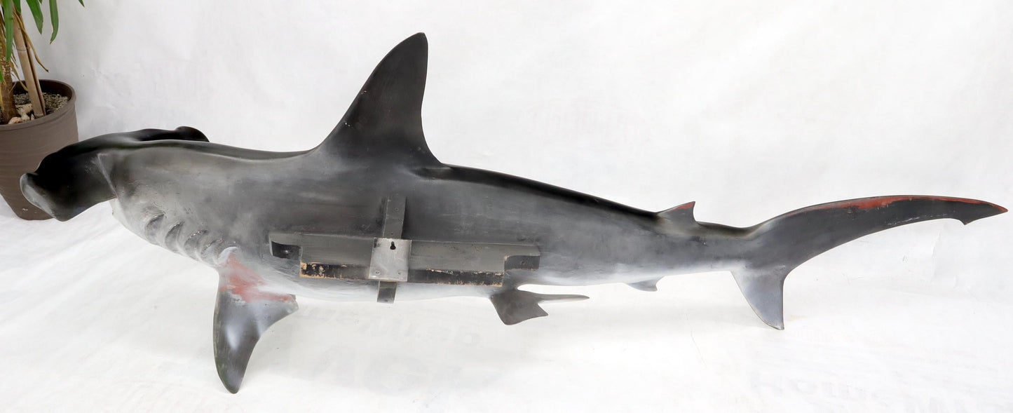 EstablishedLines Large Long Wall Hanging Sculpture of Hammerhead Shark Fish with Real Jaw Teeth