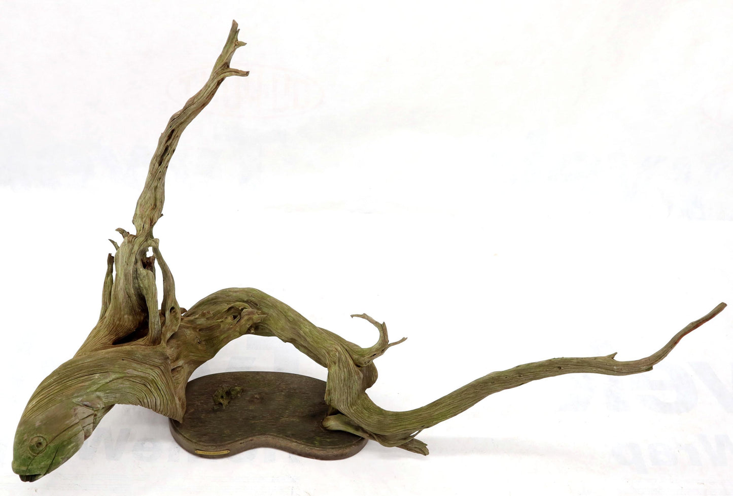Large Natural Wood Fish Shape Driftwood Sculpture Artist Signed