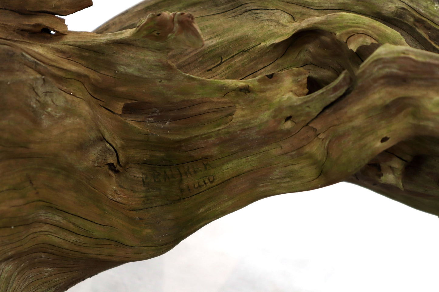 Large Natural Wood Fish Shape Driftwood Sculpture Artist Signed