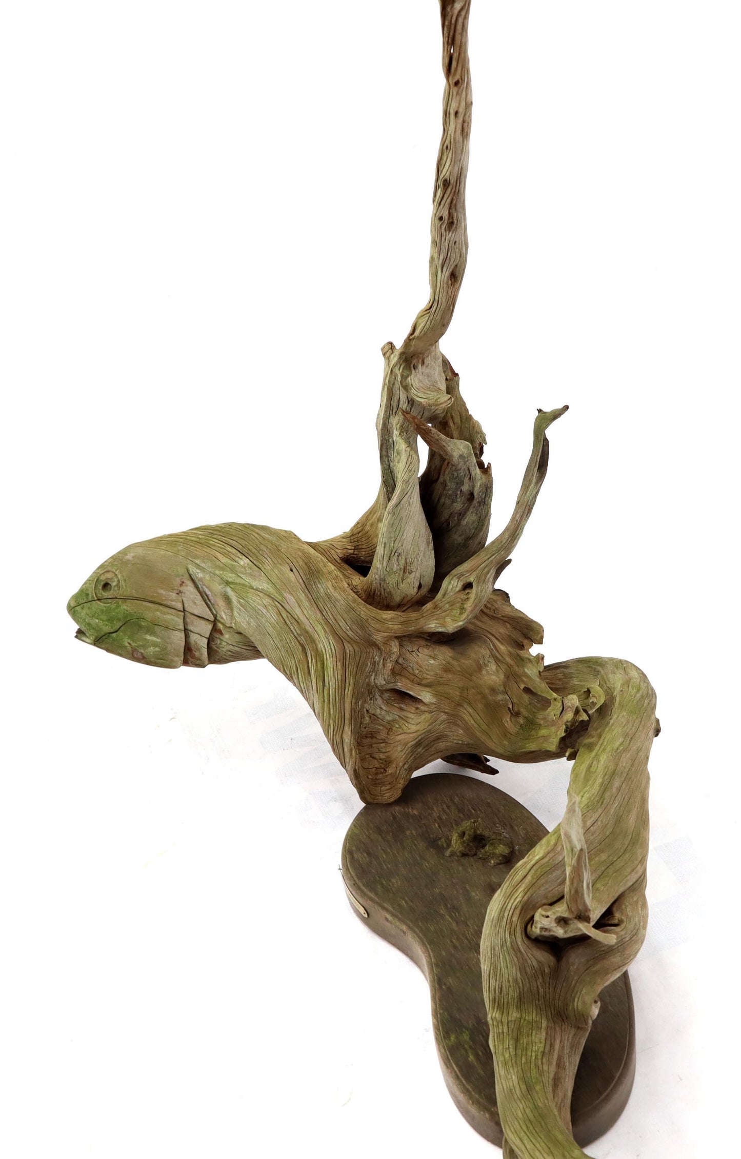 Large Natural Wood Fish Shape Driftwood Sculpture Artist Signed