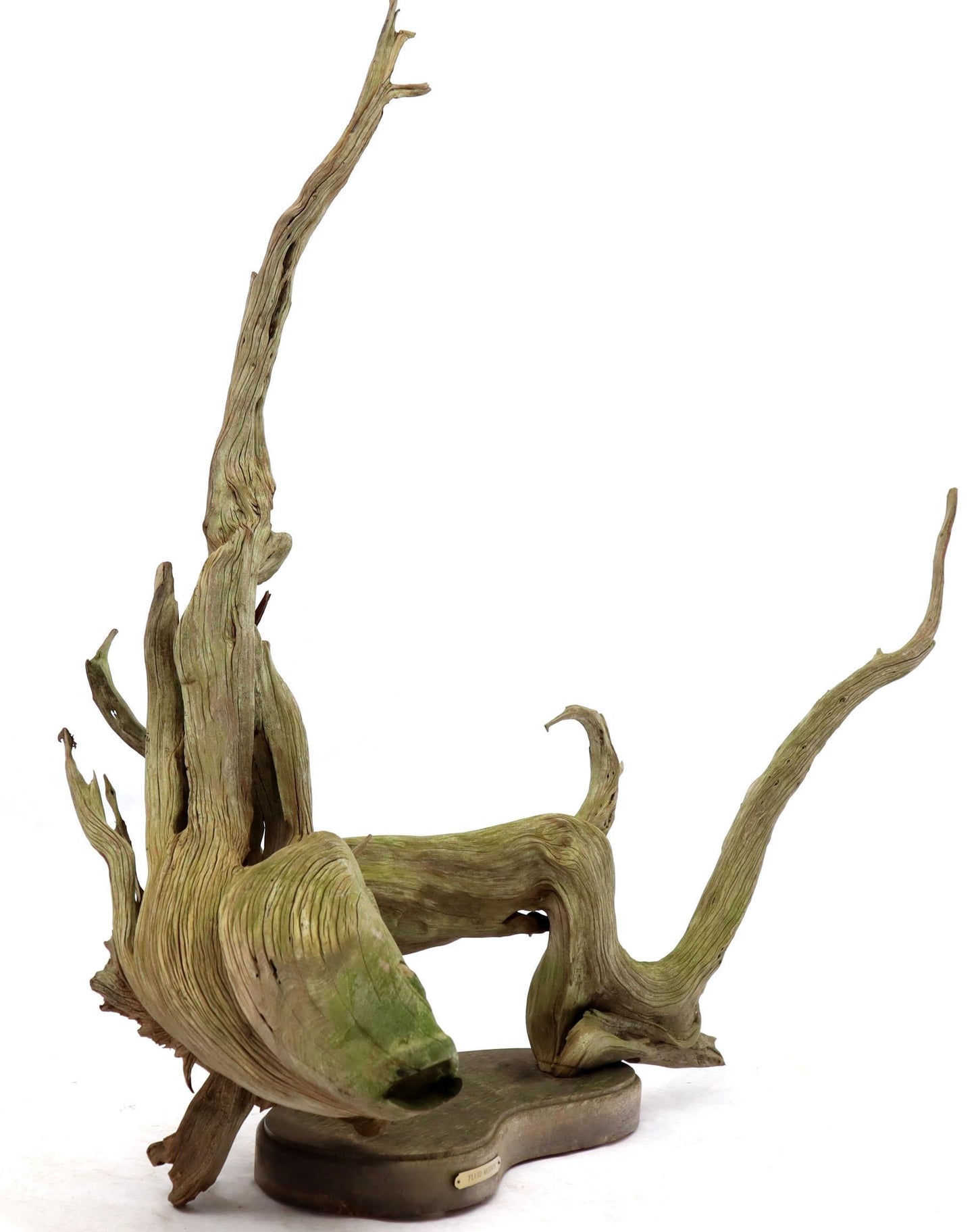 Large Natural Wood Fish Shape Driftwood Sculpture Artist Signed