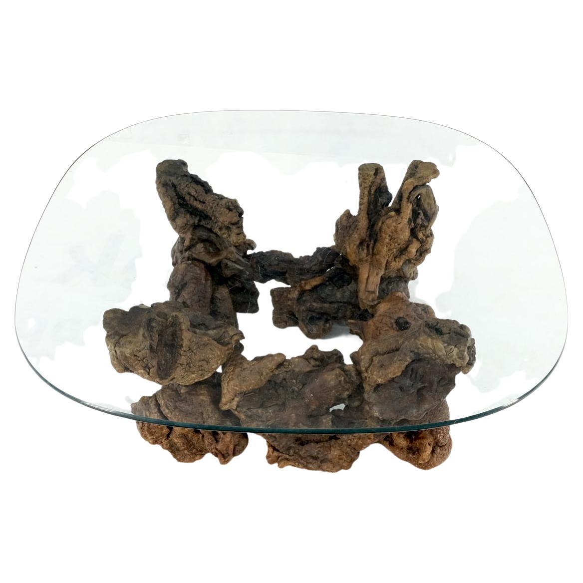 EstablishedLines Burl Wood Root Organic Base Large Rounded Square Glass Top Coffee Center Table