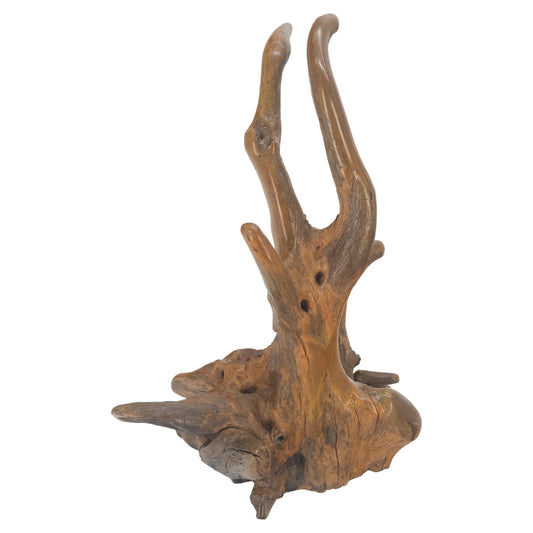 EstablishedLines Large 25" Tall Artist Signed Driftwood Root Burl Wood Natural Sculpture NICE!