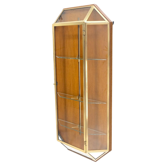 EstablishedLines Brass Glass Hanging Single Door Wall "Picture" Hanging Showcase Display Shelves