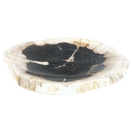 EstablishedLines Petrified Wood Round Black & Beige Bowl Dish Large Plate