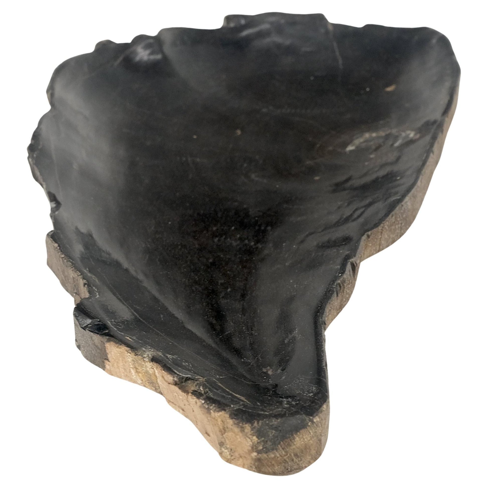 EstablishedLines Petrified Wood Liver Shape Solid Black Elongated Bowl Dish Large Plate Ashtray