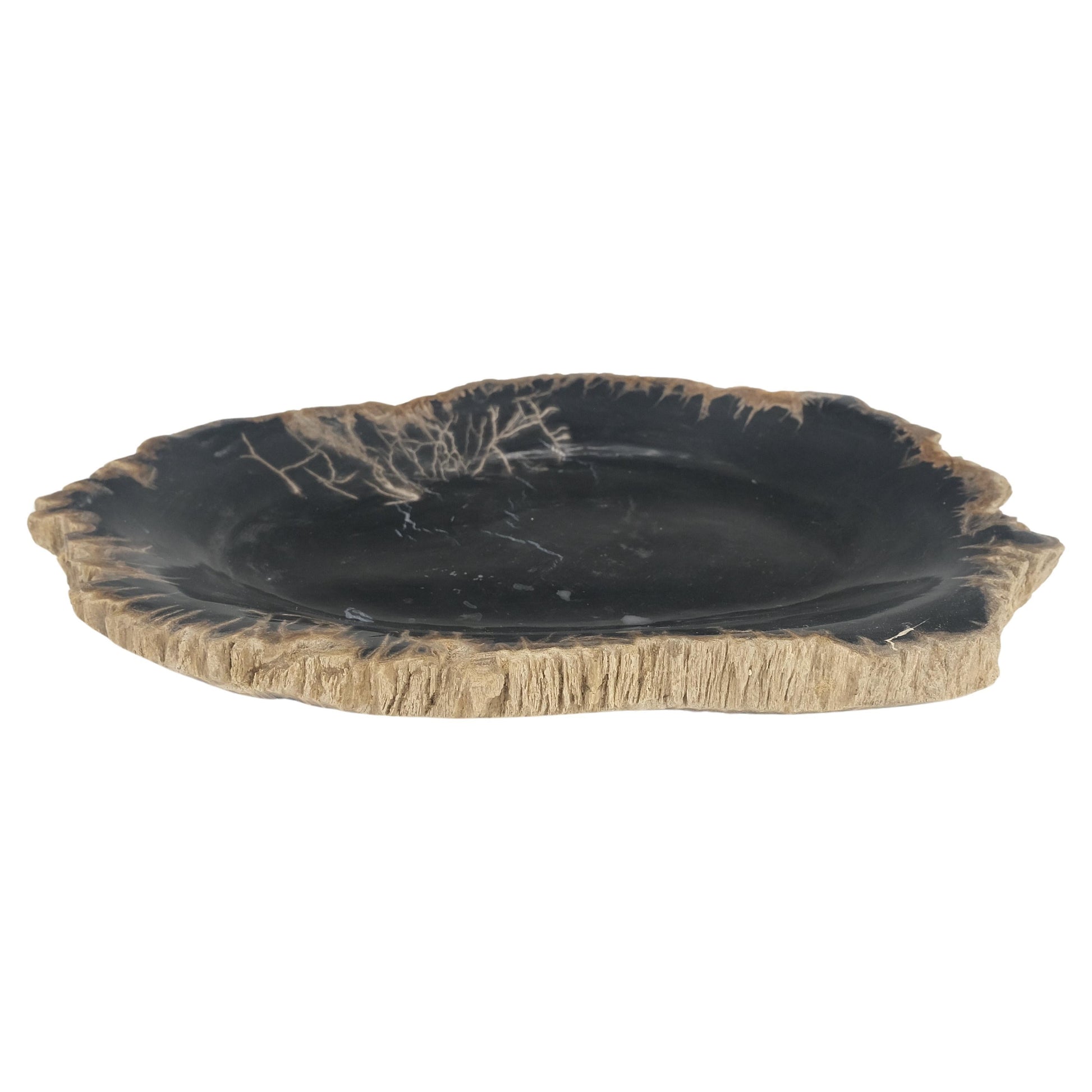 EstablishedLines Petrified Wood Heart Shape Solid Black Elongated Bowl Dish Large Plate Ashtray