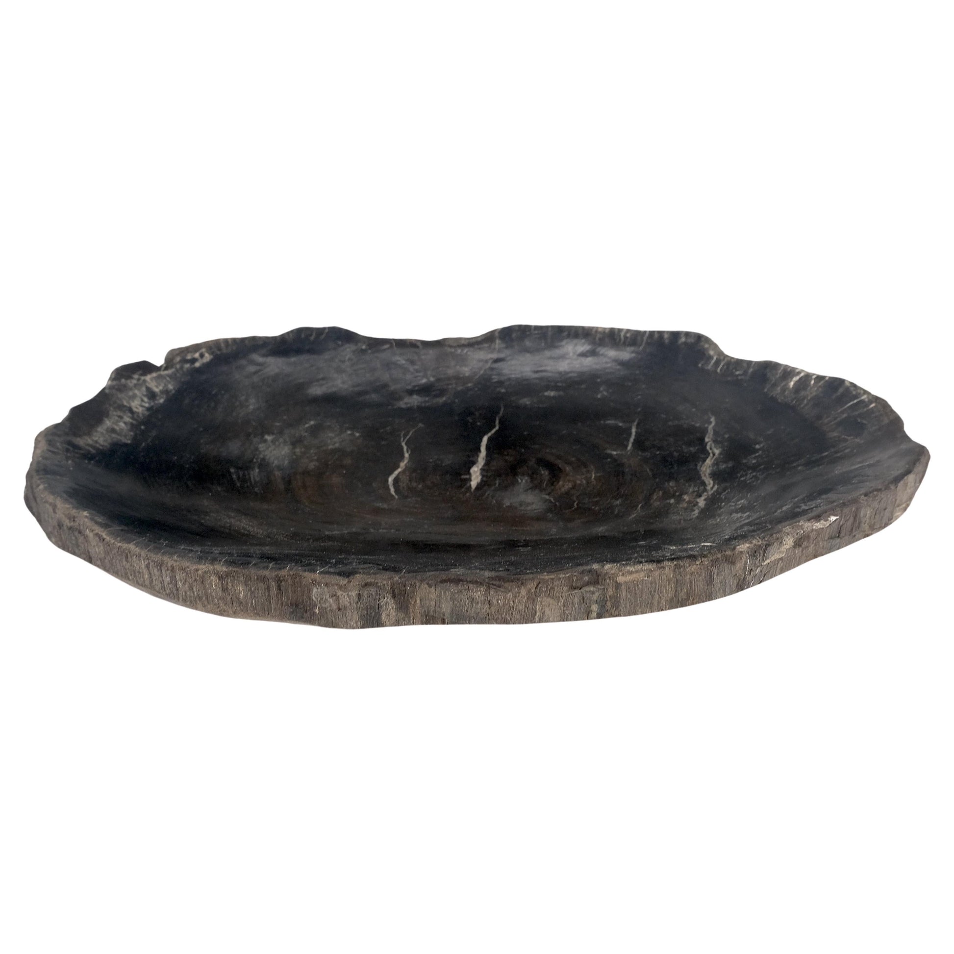 EstablishedLines Petrified Wood Oyster Shape Solid Black Oval Bowl Dish Large Plate Ashtray