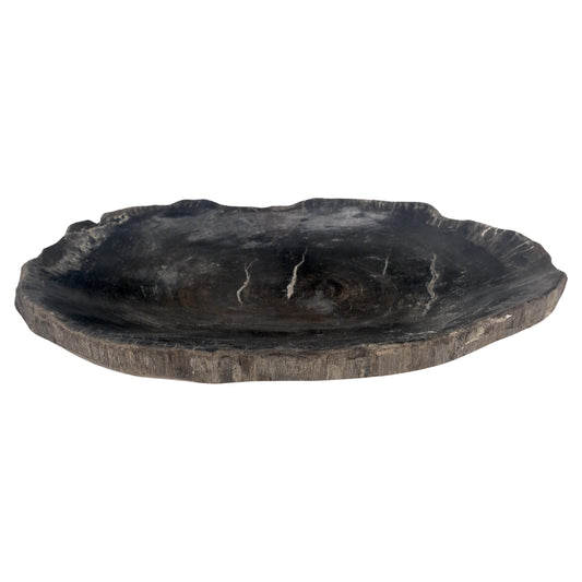 EstablishedLines Petrified Wood Oyster Shape Solid Black Oval Bowl Dish Large Plate Ashtray