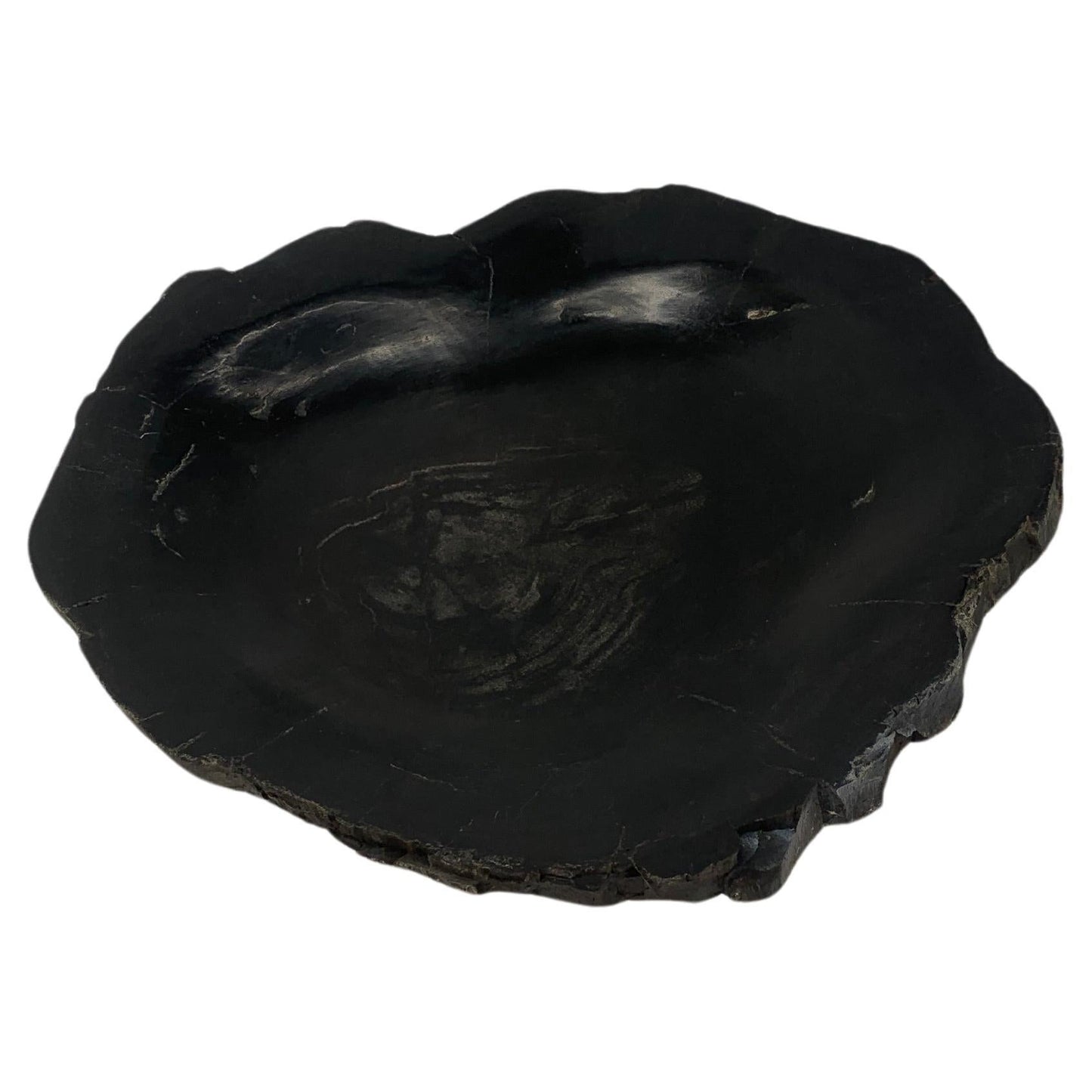 EstablishedLines Petrified Wood Round Shape Solid Black Round Bowl Dish Large Plate Ashtray