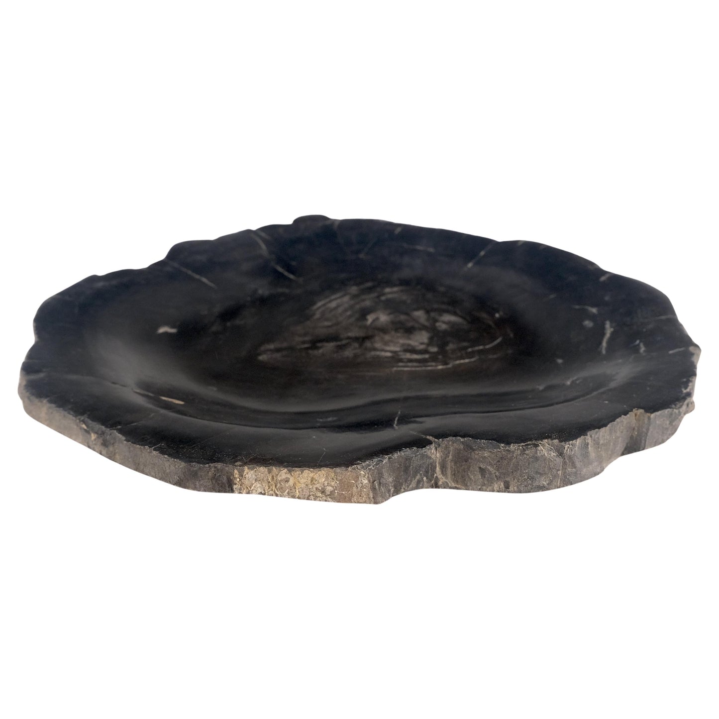 EstablishedLines Petrified Wood Round Shape Solid Black Round Bowl Dish Large Plate Ashtray