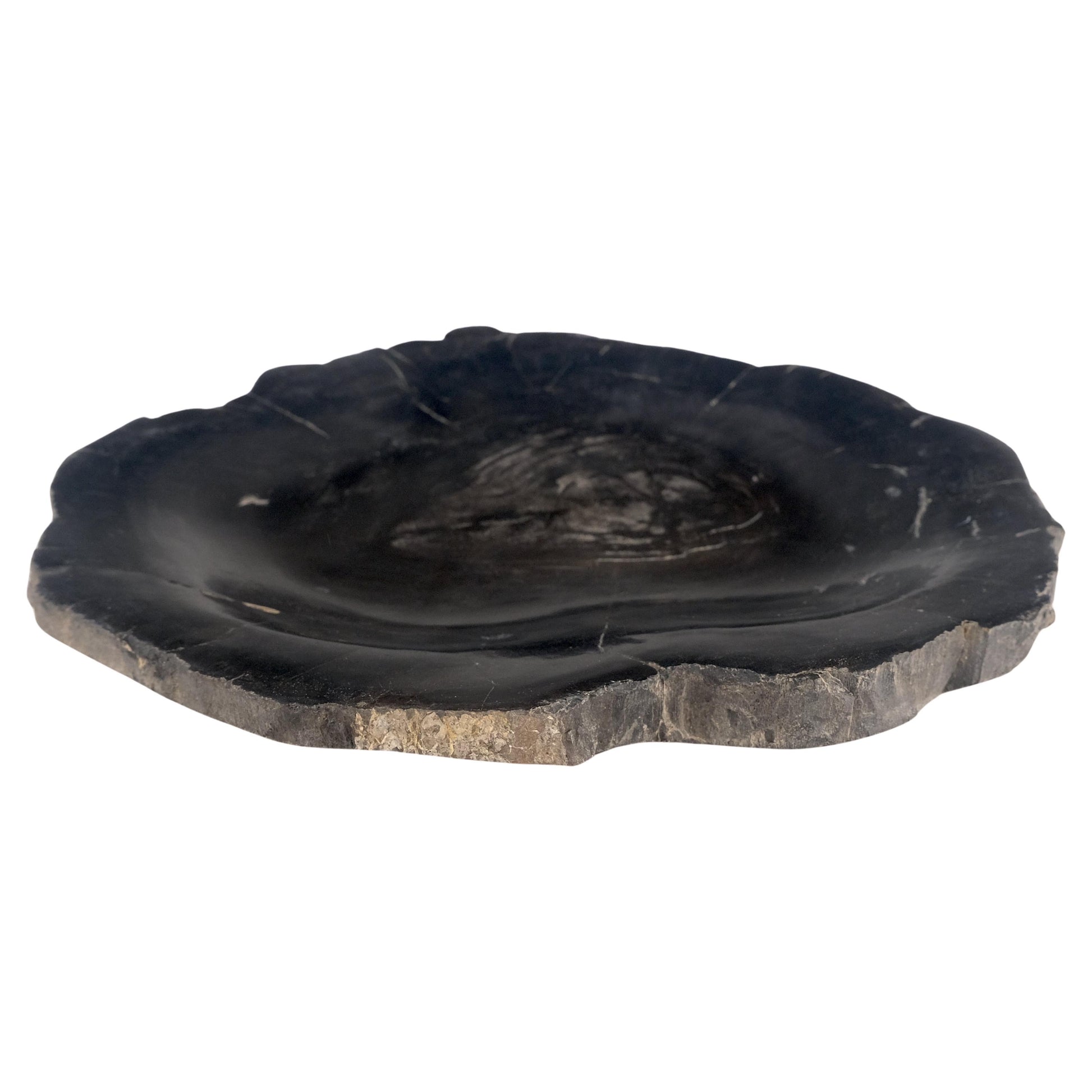 EstablishedLines Petrified Wood Round Shape Solid Black Round Bowl Dish Large Plate Ashtray