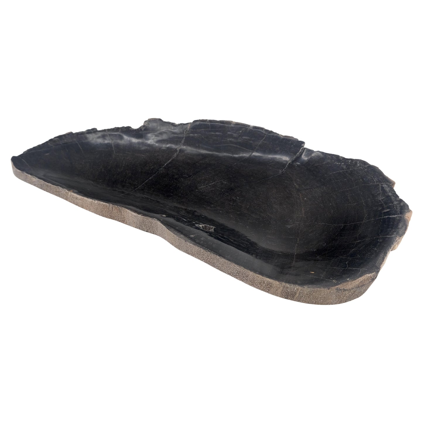 EstablishedLines Petrified Wood Round Shape Solid Black Round Bowl Dish Large Plate Ashtray MINT!