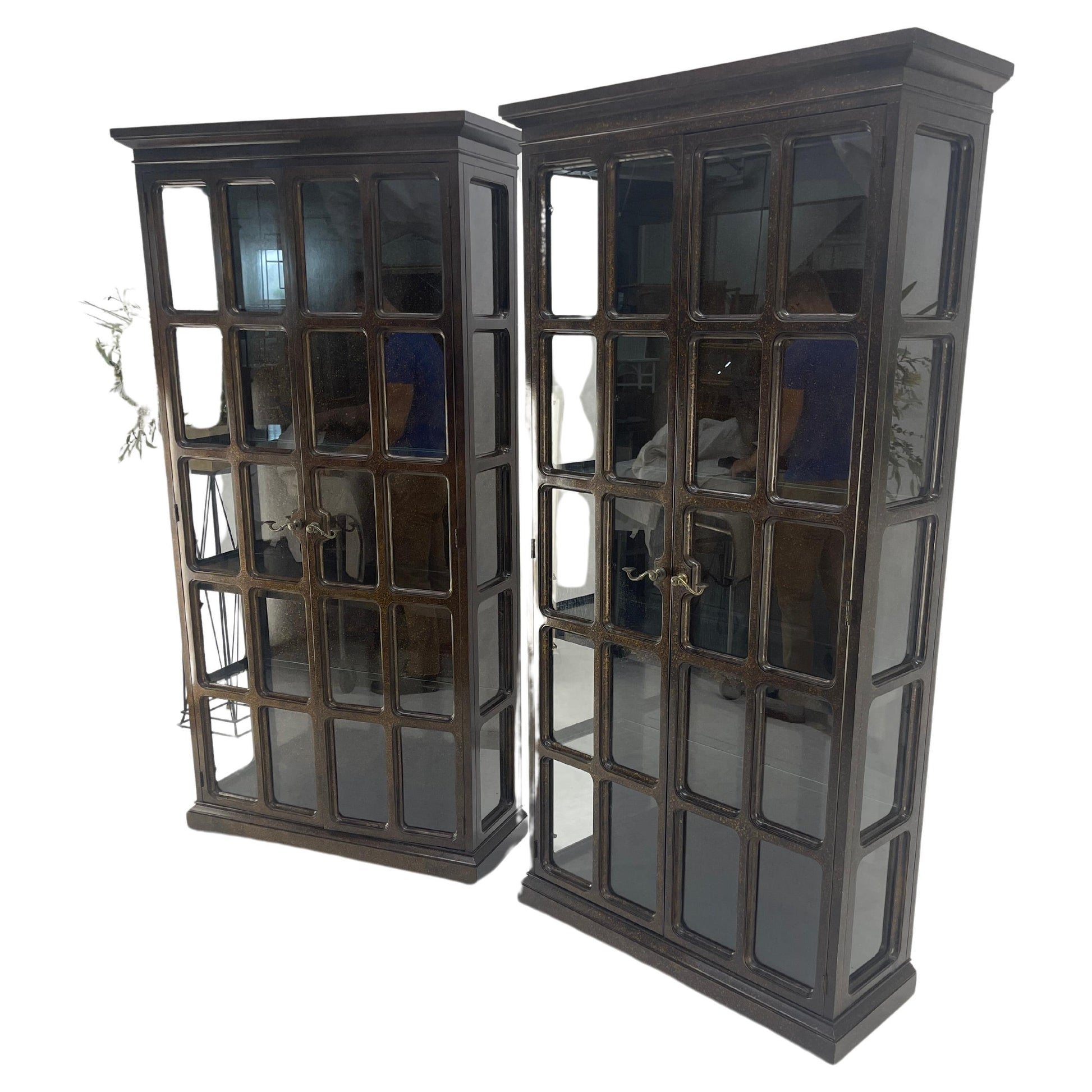 EstablishedLines Drexel Pair of Large Tortoise Finish Vitrines Etageres Cupboards Showcases MINT