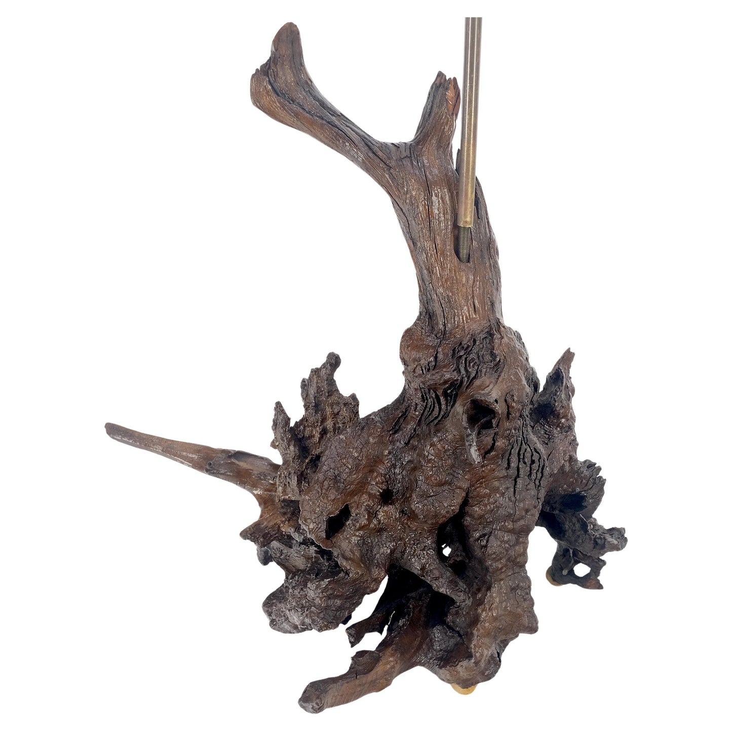 EstablishedLines Large 37" Tall Mid Century Modern Varnished Oiled Driftwood Table Lamp MINT